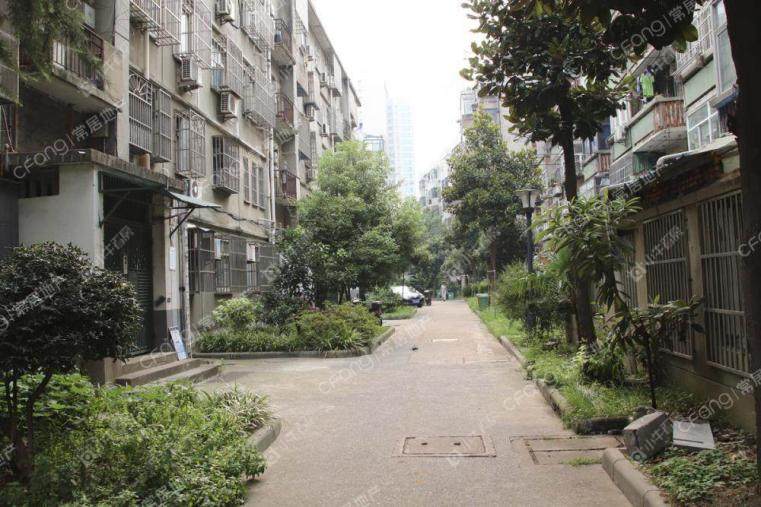 斜桥巷实景图
