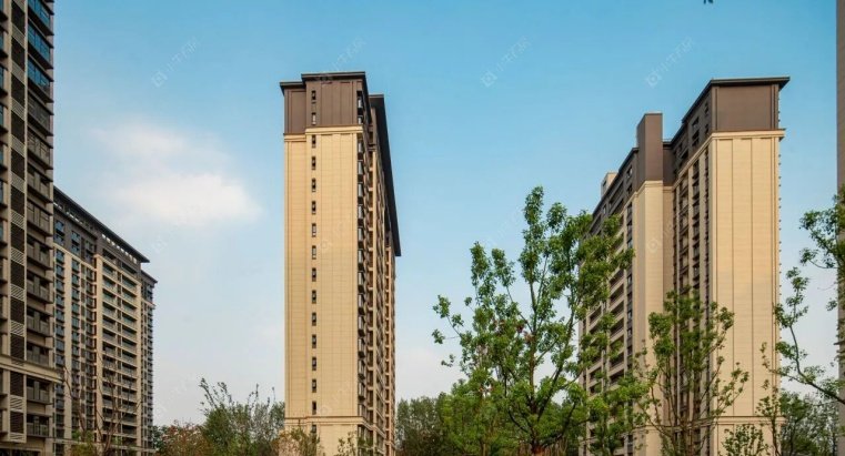 龙控公园道实拍图 龙控公园道实拍图