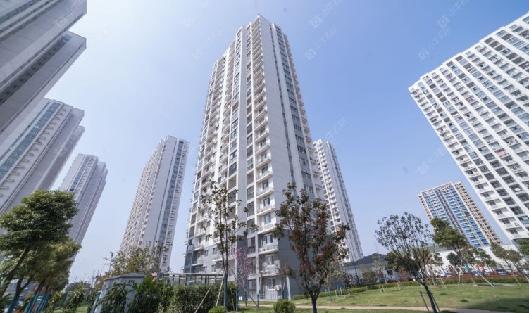 临津花园实拍图