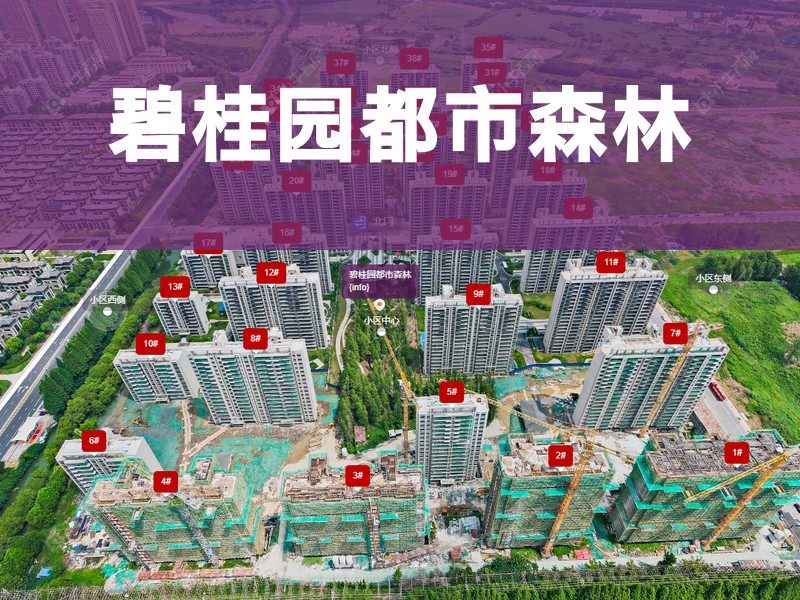 常州市2026年1月人气小区测评之碧桂园都市森林