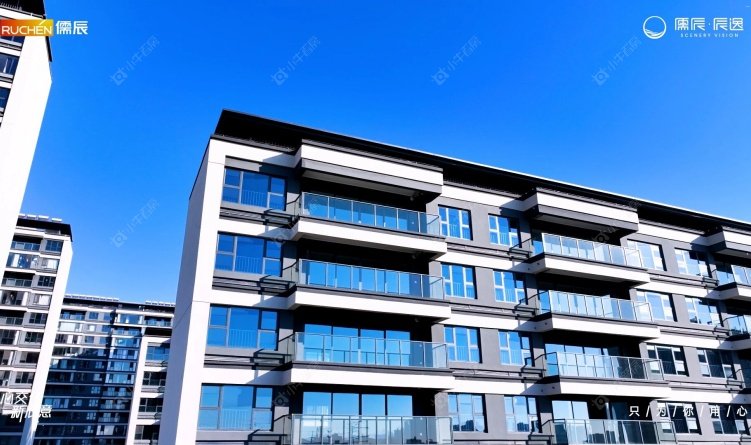 儒辰辰逸实拍图