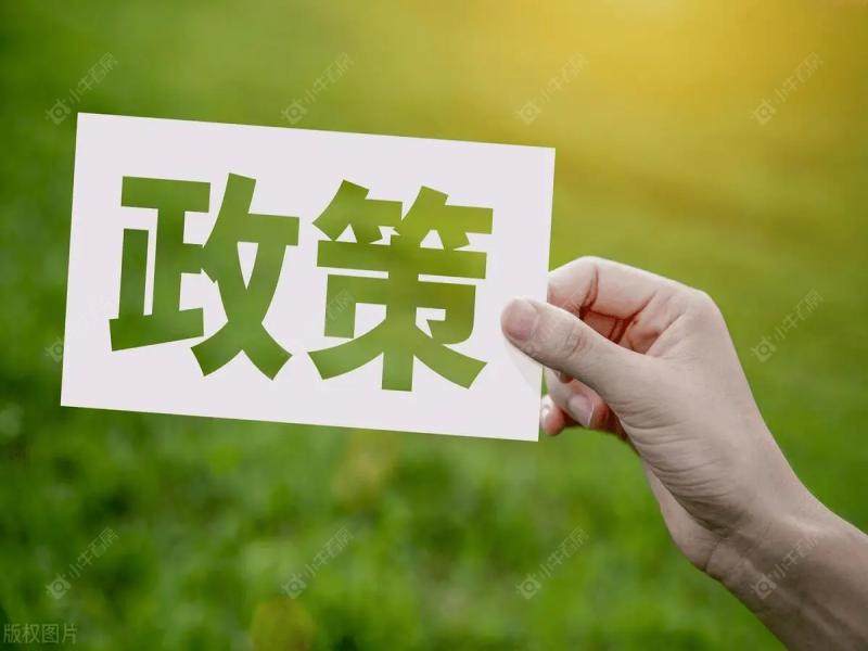 政策网络图 政策网络图