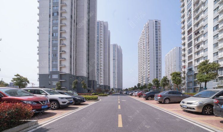 临津花园实景图