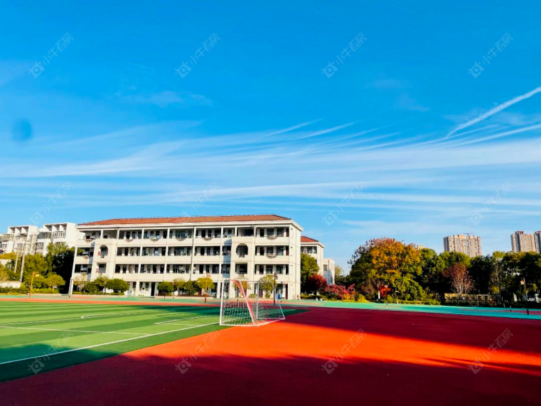 龙虎塘实验小学