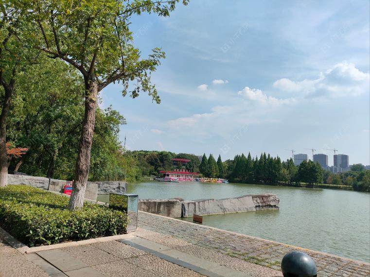 青枫公园实景图