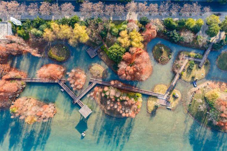 新龙湖公园实景图