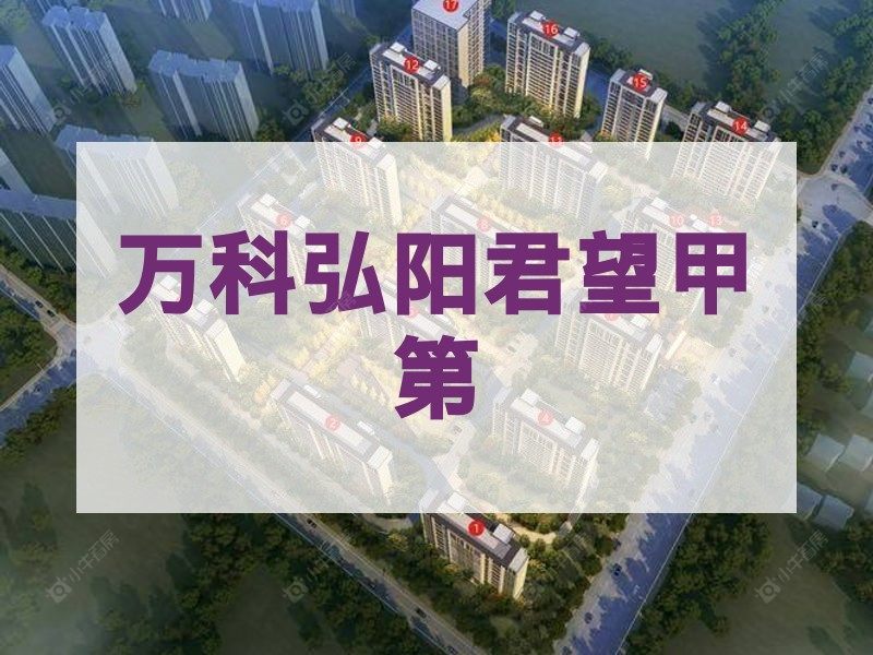 常州市2026年3月人气小区测评之万科弘阳君望甲第