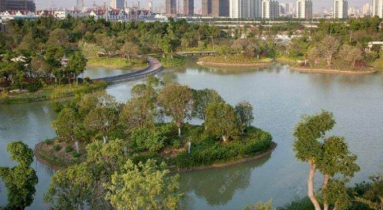 西林公园实景图