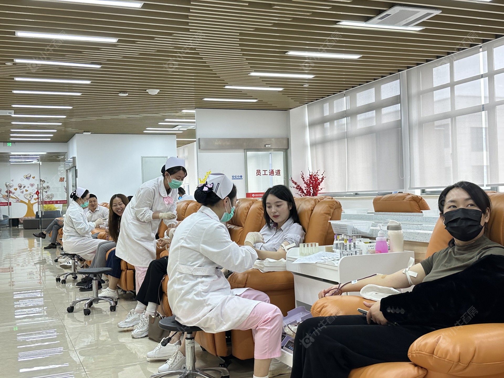 1d911372-6abd-46e1-8025-45a008be135e