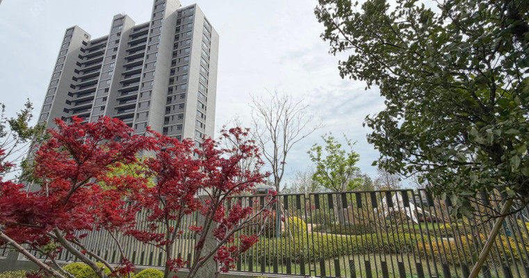 绿城江南里江南潮鸣实景图