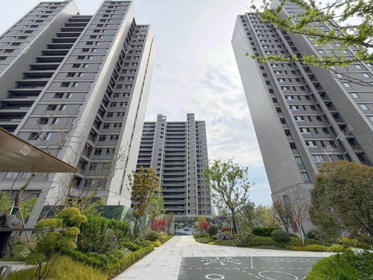 江南潮鸣实景图