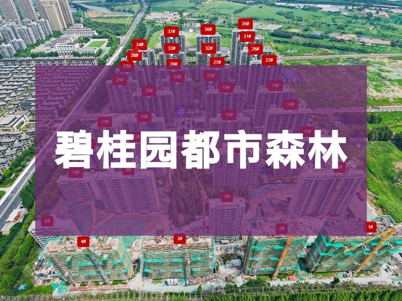 常州市2025年9月人气小区测评之碧桂园都市森林