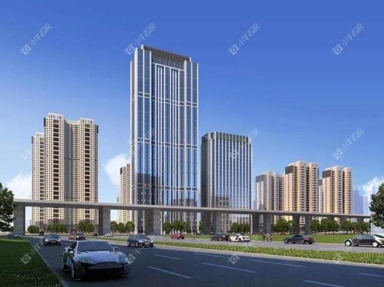 常州新城黑牡丹世纪之光效果图