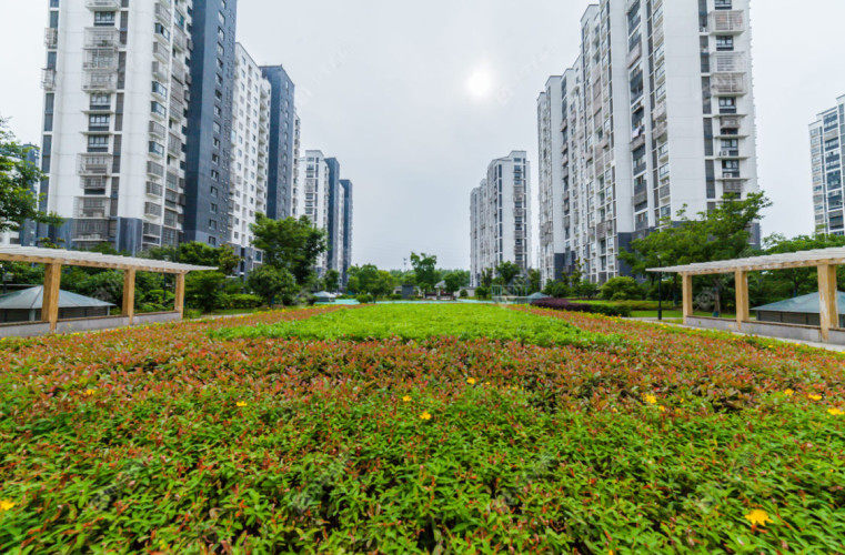 紫荆苑(金坛)实景图