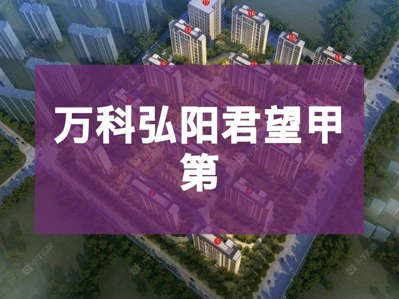 常州市2025年9月人气小区测评之万科弘阳君望甲第