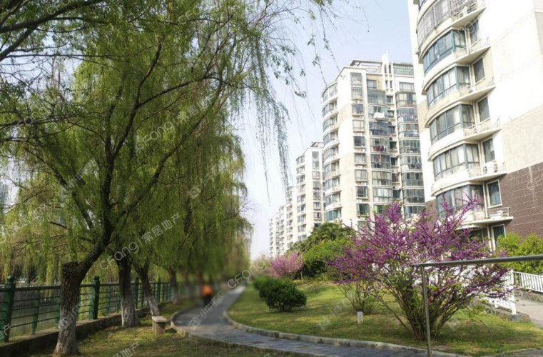 绿洲家园实景图