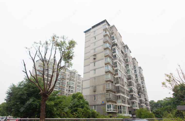 常州梧桐苑东区实景图