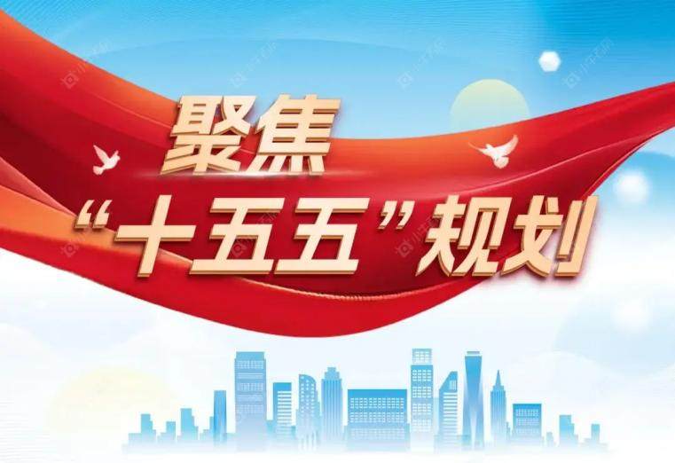 十五五规划网络图