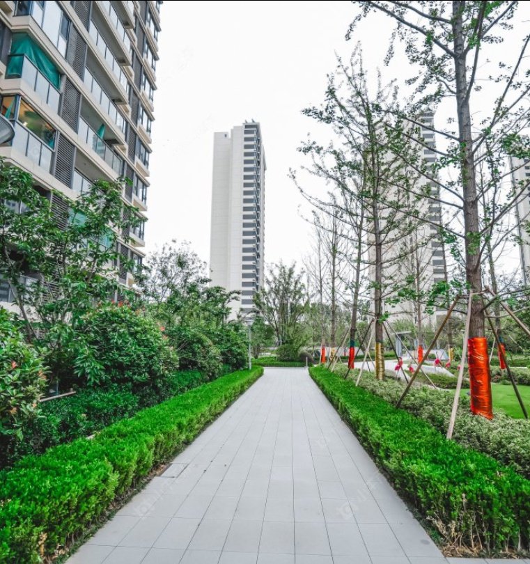 星河时代实景图1 星河时代实景图1