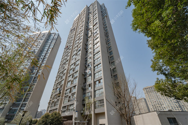 青山湾北区实景图