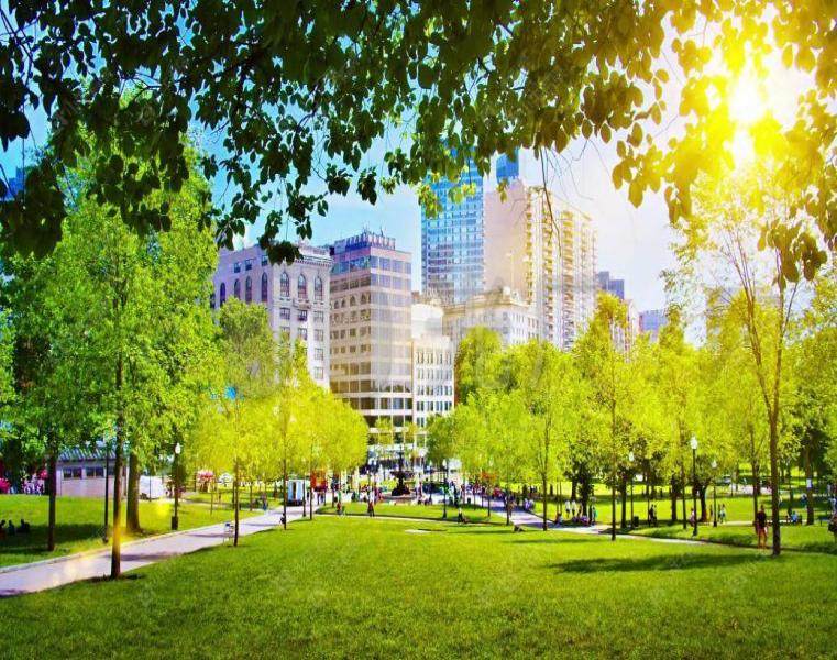 常州牡丹都汇效果图