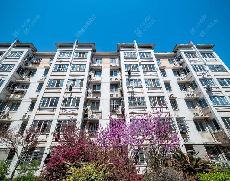 丽乐公寓实景图