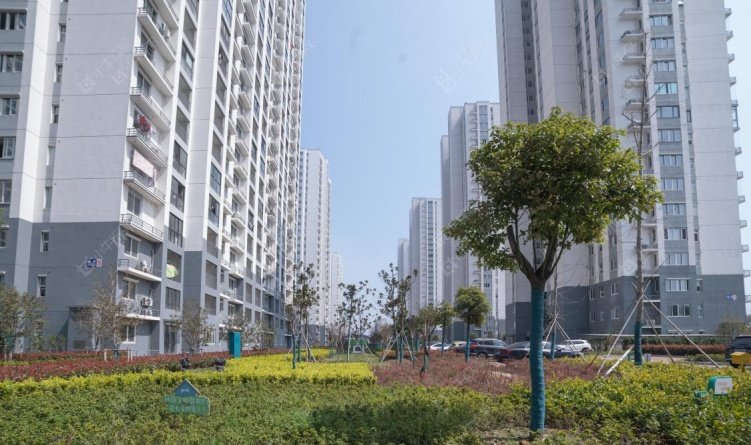 临津花园小区实景图