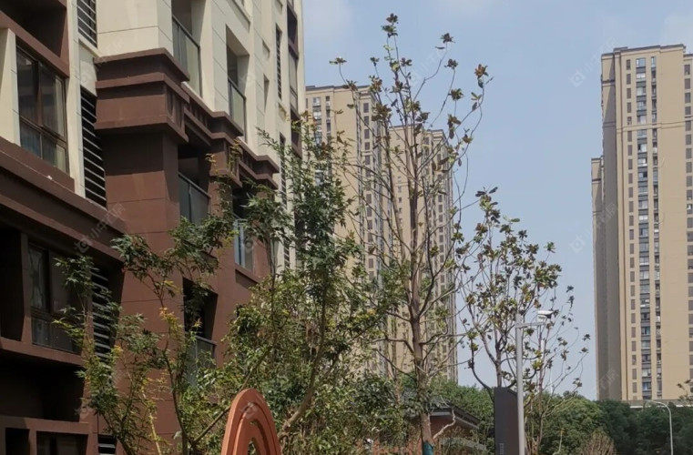 常州华林家园三期实景图 常州华林家园三期实景图