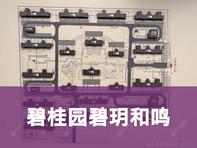 常州市2026年1月人气小区测评之碧桂园碧玥和鸣
