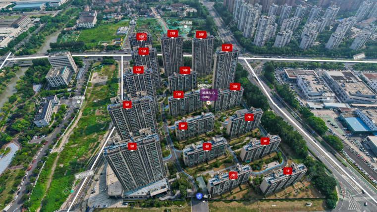 桃李东方摆位图